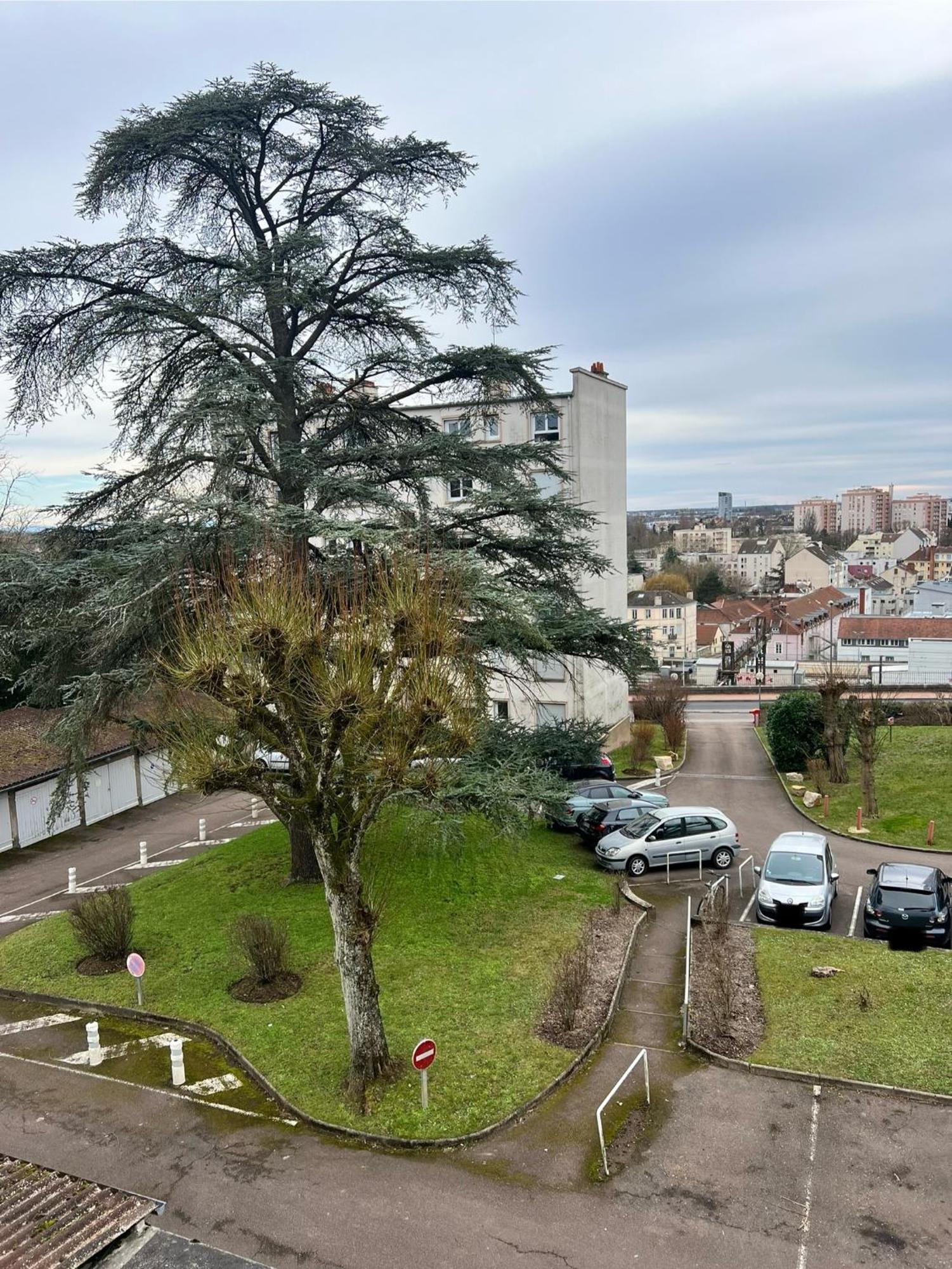 Le Bellevue - T3 - Gare & Les Jardins Darcy - Parking Free Apartment Dijon Luaran gambar