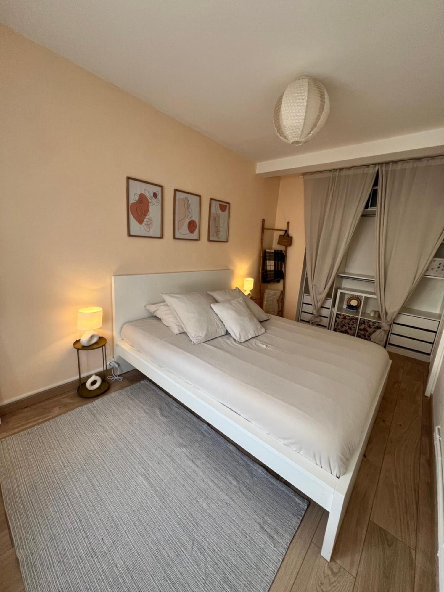 Le Bellevue - T3 - Gare & Les Jardins Darcy - Parking Free Apartment Dijon Luaran gambar